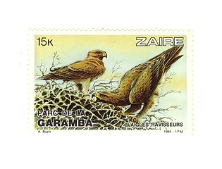 Image showing congolese stamp