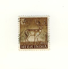 Image showing indian stamp