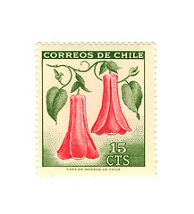 Image showing chilean stamp