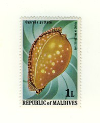 Image showing stamp from maldives