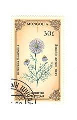 Image showing mongol stamp