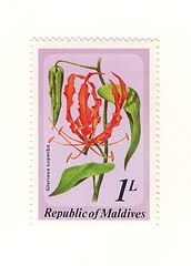 Image showing stamp from maldives