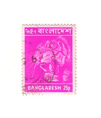 Image showing bangladeshi stamp