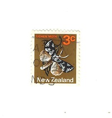 Image showing new zealander stamp