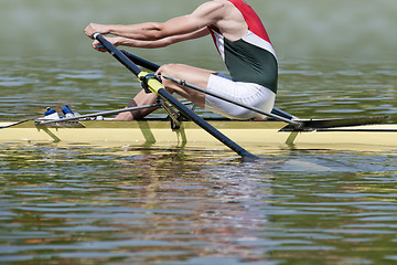 Image showing Skiff rower