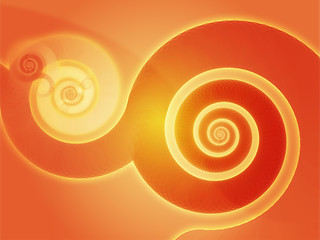 Image showing Swirly spirals