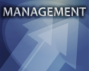 Image showing Management illustration