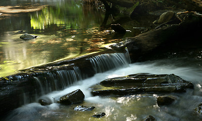 Image showing forest stream