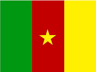 Image showing Flag of Cameroon