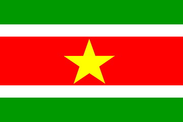 Image showing Flag of Suriname