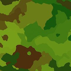 Image showing Camouflage pattern