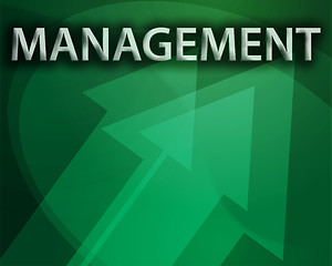 Image showing Management illustration