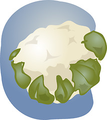 Image showing Cauliflower illustration