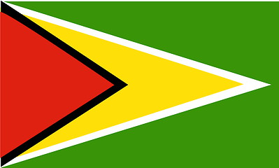 Image showing Flag of Guyana