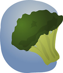 Image showing Brocolli illustration