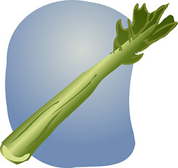 Image showing Celery illustration