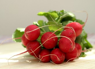 Image showing radish