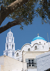 Image showing Church and olive tree, Pyrgos, Santorini