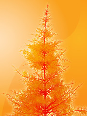 Image showing Pine tree illustration