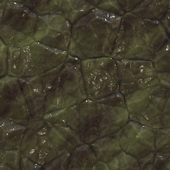 Image showing Crystalline mineral facets