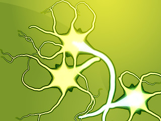 Image showing Nerve cells illustration