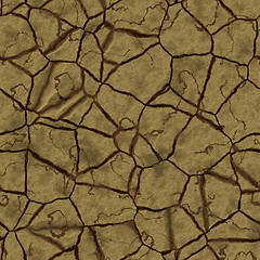 Image showing Cracked earth