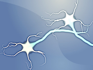 Image showing Neuron nerve cells