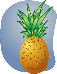 Image showing Pineapple fruit illustration