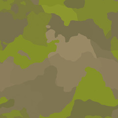 Image showing Camouflage pattern