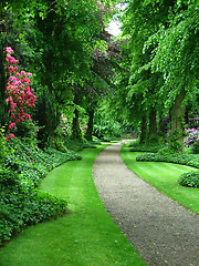 Image showing Garden path