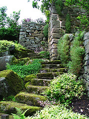 Image showing Garden steps