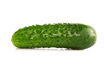 Image showing Fresh green Cucumber on white background