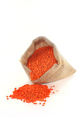 Image showing Red Lentils