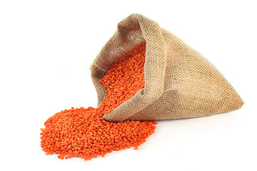 Image showing Red Lentils