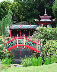 Image showing Japanese garden