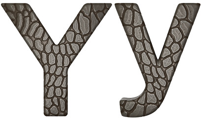 Image showing Alligator skin font Y lowercase and capital letters