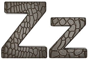 Image showing Alligator skin font Z lowercase and capital letters