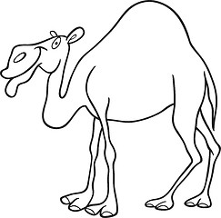 Image showing dromedary camel for coloring book