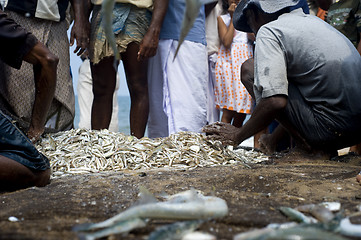 Image showing Sri Lankan fishermans