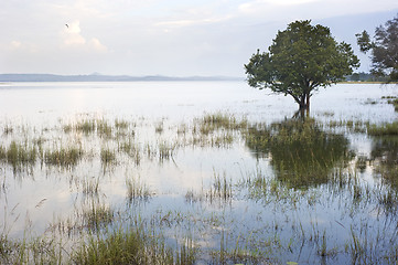 Image showing Tropical landscape 