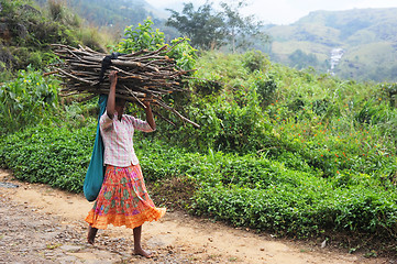 Image showing Girl with firewoods