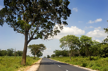 Image showing Country road in Sri Lankan
