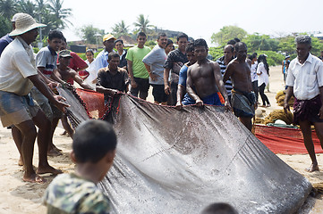 Image showing Sri Lankan fishermans