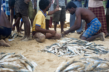 Image showing Sri Lankan fishermans