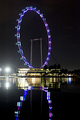 Image showing Singapore Flyer at Night