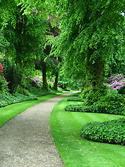 Image showing A garden path
