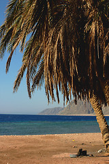 Image showing Landscape on beach