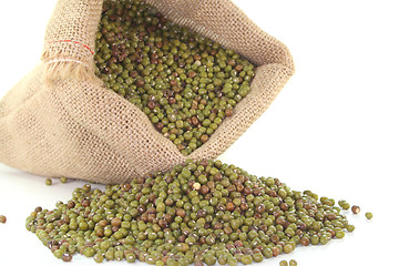 Image showing Mungo beans