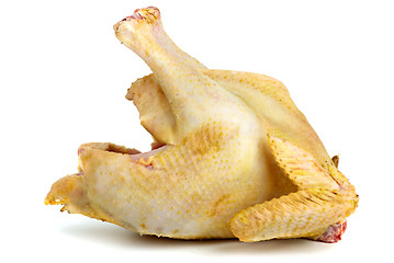 Image showing Raw chicken