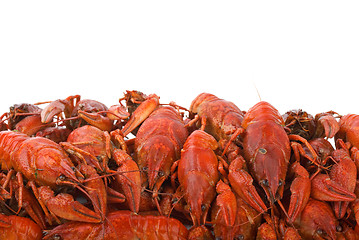 Image showing Pile of boiled crayfishes